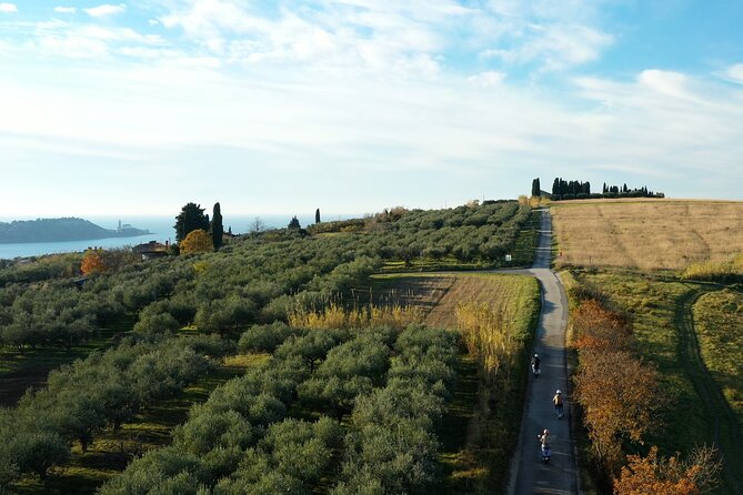 Half Day Vespa Countryside Tour and Tastings in Istria - Timing, weather, and the small details that matter