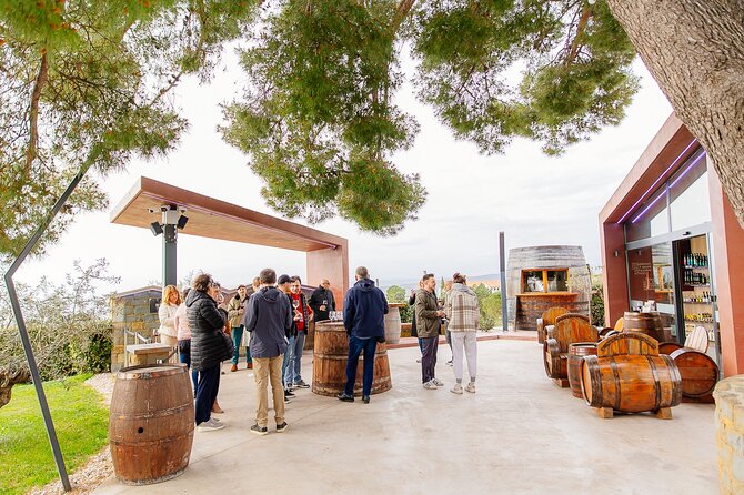 Hop & Taste Slovenian Riviera Hop-On Hop-Off & Local Bites - Who will get the most from this outing