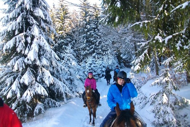 Horse Riding in Bled - Getting comfortable before leaving the arena