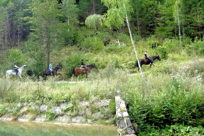 Horse Riding in Bled - Riding toward the Bled countryside