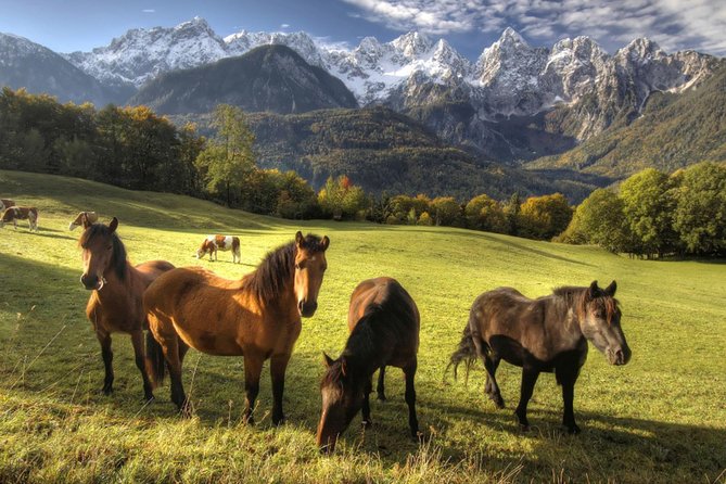 Horse Riding in Bled - Weather, cancellations, and one serious caution
