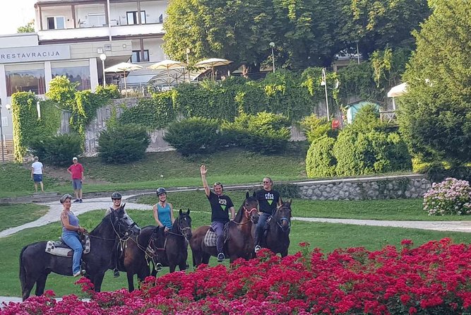 Horseback Riding In Bled - Through fields, woods, and country roads