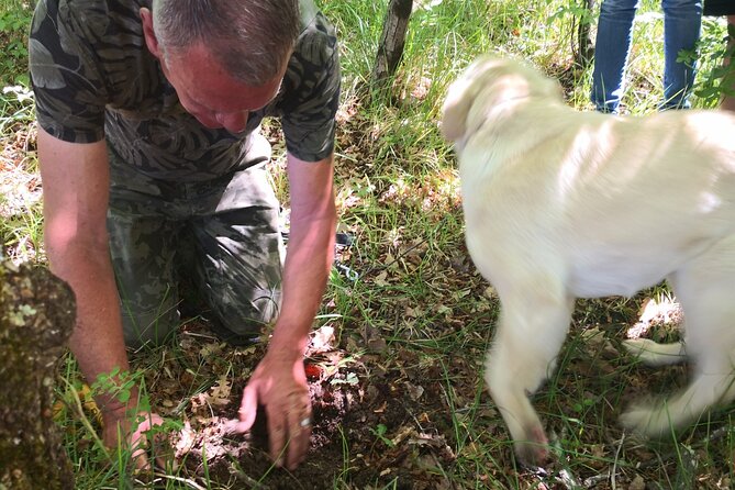 Istria - Truffles: Hunting & Cooking & Tasting, Slovenia - Getting there from Koper and the coast