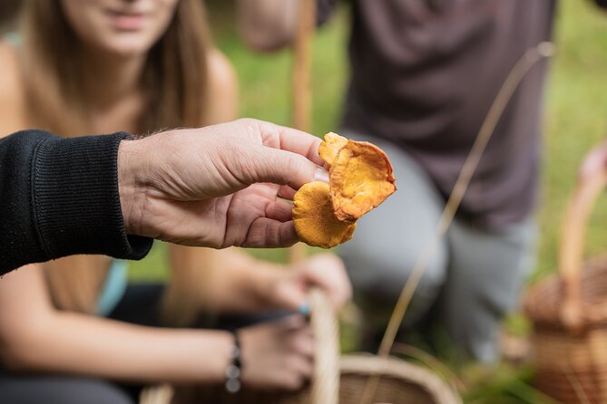 It Smells Like Mushrooms - The food is the real payoff