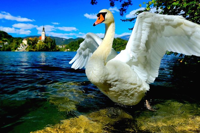 Lake Bled Half Day Excursion from Ljubljana - The church, bell, and 99 steps