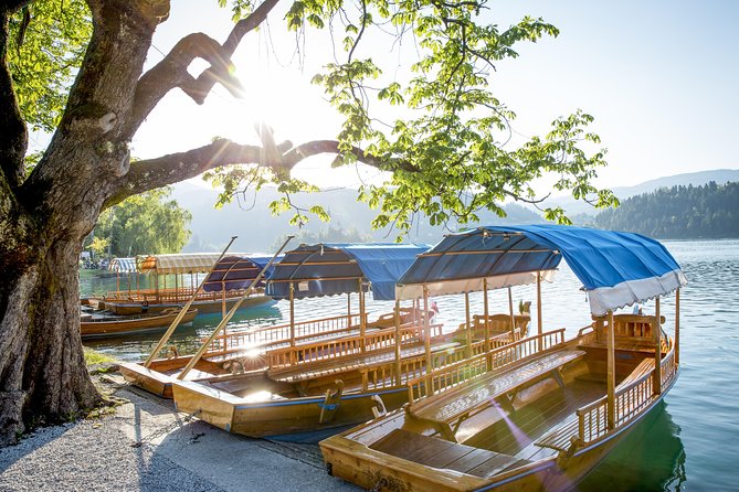 Lake Bled half day tour from Ljubljana - First Look at Lake Bled