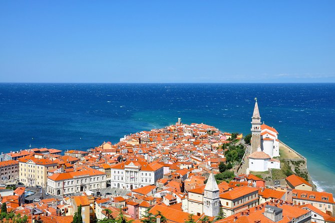 Lipica stud farm and Piran Tour from Ljubljana - Key points at a glance