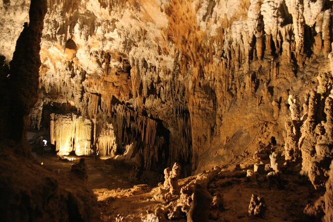Lipica Stud Farm and Skocjan Caves from Koper - Six hours, pickup, and the pace of the day