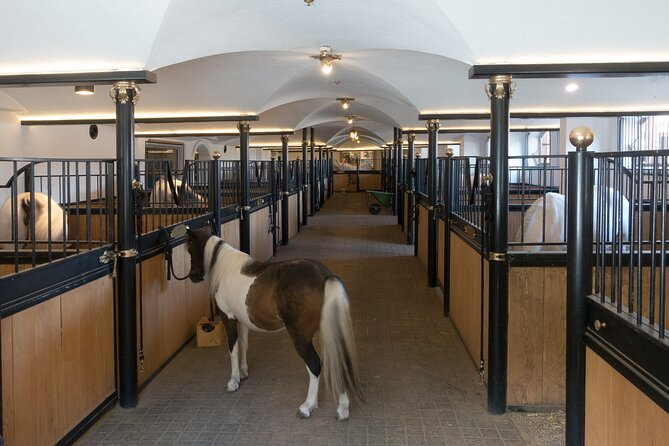 Lipica Stud Farm and Skocjan Caves from Koper - What the $134.68 price really buys