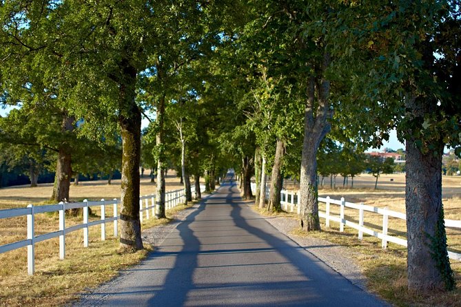 Lipica Stud Farm- Private Experience from Koper - The Museum of the Lipizzaner