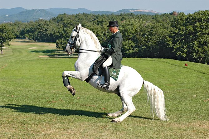 Lipica Stud Farm- Private Experience from Koper - What the $707.45 group price really means