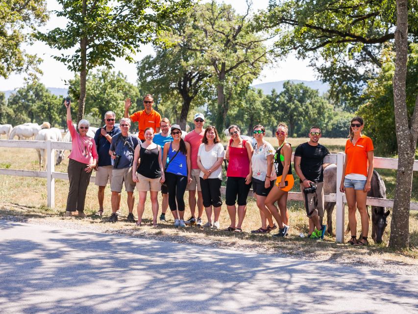 Ljubljana: Karst & Coast Full-Day Trip - A small-group ride through central Slovenia