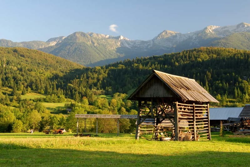 Ljubljana: Lake Bled & Triglav National Park Full-Day Trip - Transport, timing, and guide style