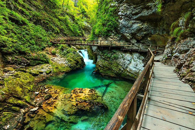 Ljubljana: Lake Bled & Triglav National Park (small group) - Lake Jasna and its bronze ibex