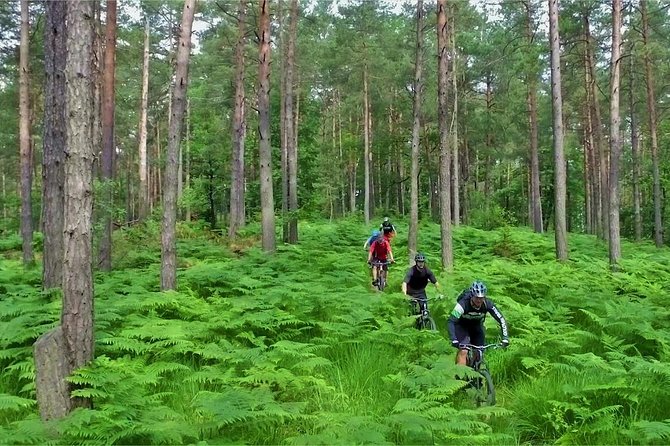 Ljubljana MTB Capital tour (e-bike enduro/all mountain) - Weather, cancellation, and practical planning