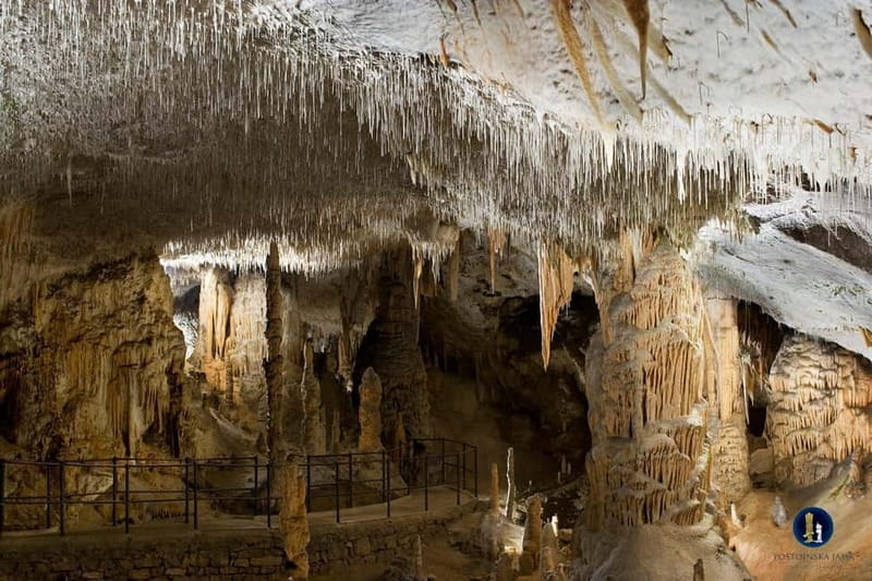 Ljubljana: Postojna Cave and Predjama Castle Tour - Pickup in Ljubljana and the small van ride