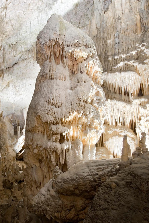Ljubljana: Postojna Cave and Predjama Castle Tour - Who should book this experience