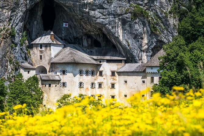 Ljubljana: Postojna cave & Predjama castle small group tour - Postojna Cave and the electric train ride