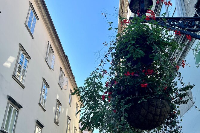 Ljubljana Private Family-Friendly Historic Old Town Guided Tour - Starting at Novi Trg Fountain