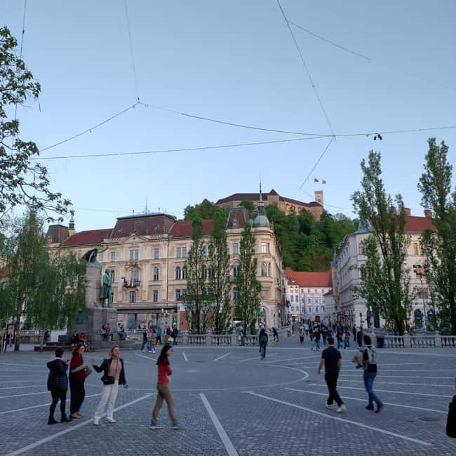 Ljubljana: Private Guided City Tour - Key things to know before you book