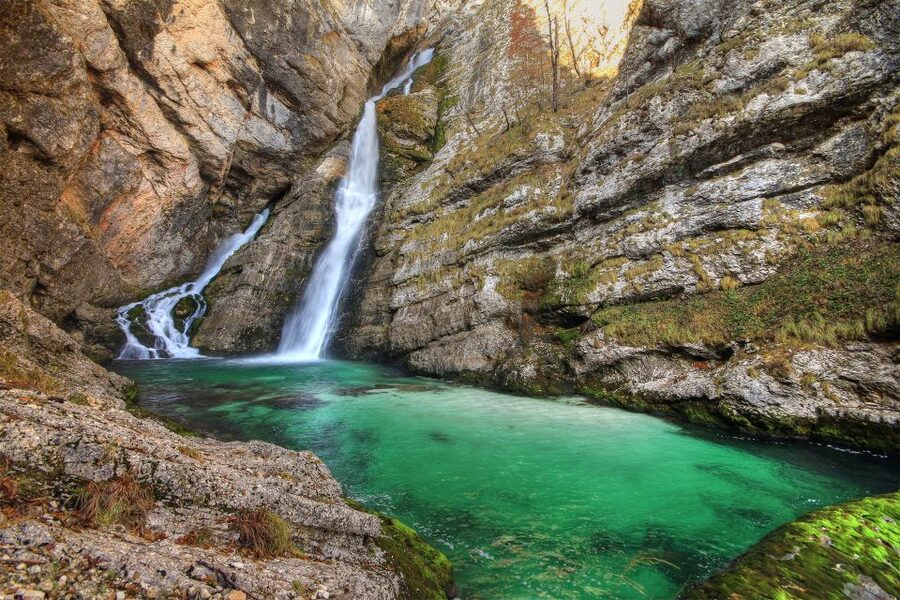 Ljubljana: Savica Waterfall, Lake Bohinj, and Lake Bled Tour - The optional lunch and Slovenian dishes