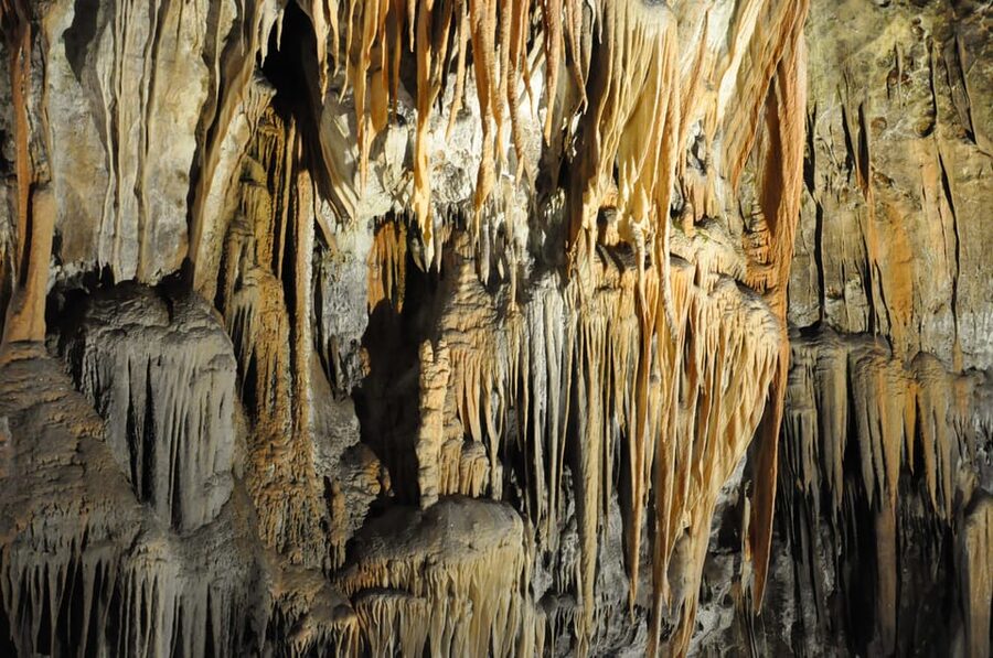 Ljubljana: UNESCO-Listed Škocjan Caves and Piran Day Trip - A little extra time before entering the caves