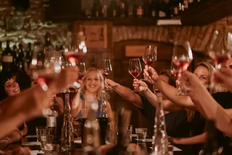 Ljubljana: Wine Tasting Experience with Appetizers - Why Slovenian Wine Makes a Good Ljubljana Introduction