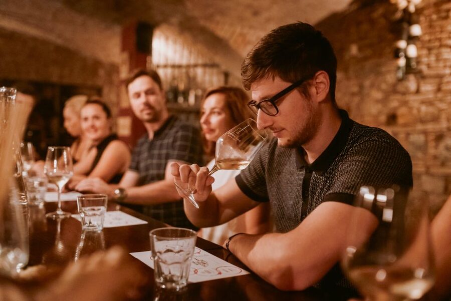 Ljubljana: Wine Tasting Experience with Appetizers - Blindfolds, Guessing Games, and Conversation