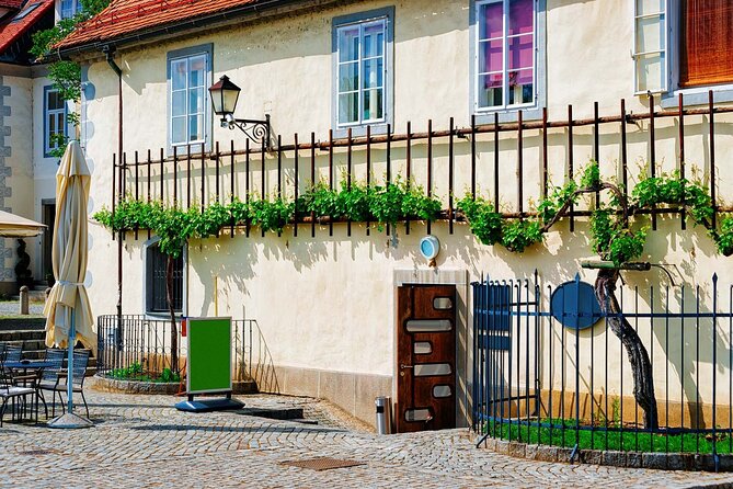 Maribor and Ptuj with entrance to Ptuj castle From Ljubljana - Štajerska wine tasting, with a €10 extra charge