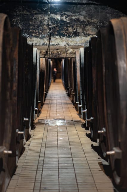 Maribor: Vinag Wine Cellar Tour with Wine tasting and snacks - The 45-Minute Guided Tour