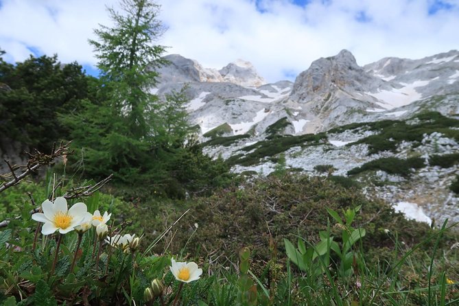 Mighty Mount Triglav Climb-summer Special-join Group - What the $396.50 price really covers