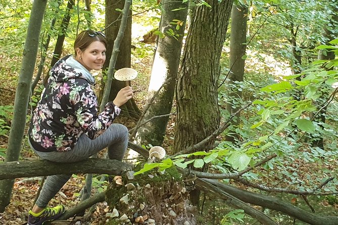 MUSHROOM FORAGING TOUR in sLOVEnia - From basket to Slovenian table