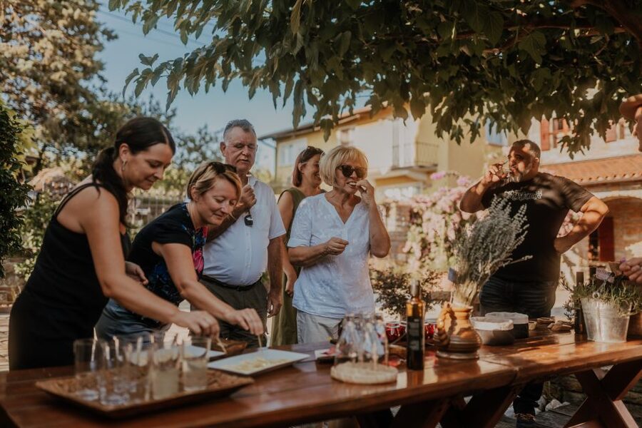 Olive Oil Tasting a Journey of Flavors and Aromas - The Red Fairytale farm setting