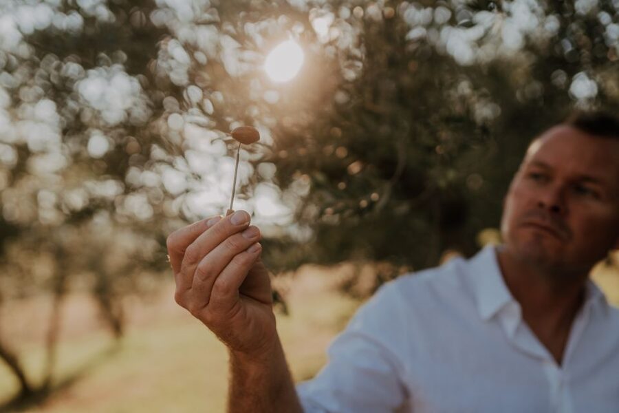 Olive Oil Tasting a Journey of Flavors and Aromas - Languages, timing, and what to wear
