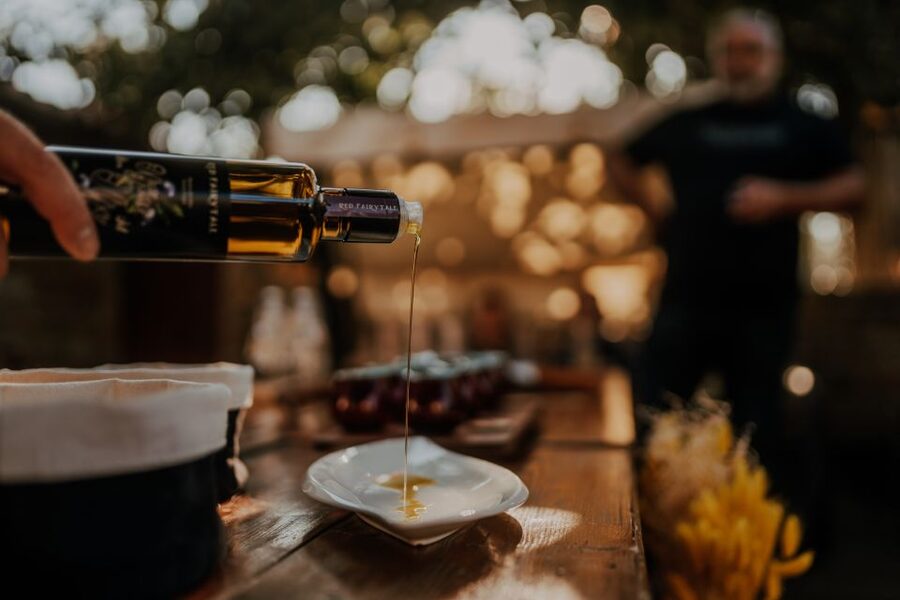 Olive Oil Tasting a Journey of Flavors and Aromas - Beginning with the olive grove