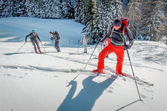 One Day Ski Touring Workshop - Learning the uphill technique