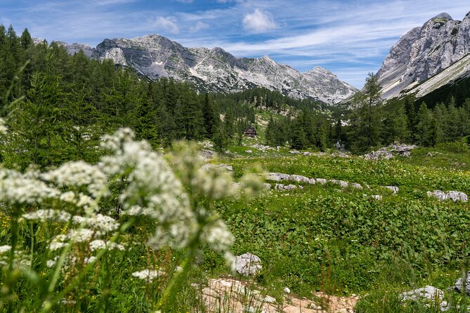 Panoramic hike in Julian Alps - From Bled to the Pokljuka Plateau