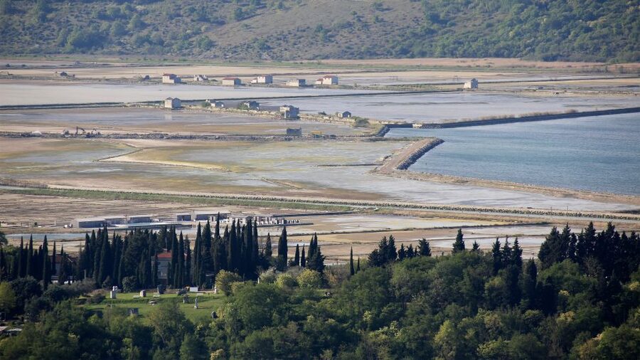 Panoramic Piran and Salt Pans: E-Bike Boutique Tour - The Sečovlje salt pans