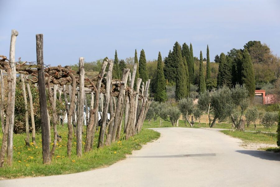 Panoramic Piran and Salt Pans: E-Bike Boutique Tour - Seča Park and its international sculpture collection