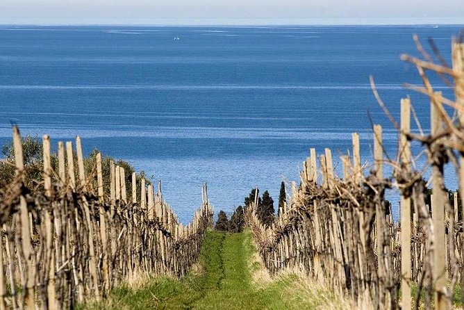 Piran and Scenic Slovenian Coast-Private Experience from Koper - Izola and the Strunjan salt fields