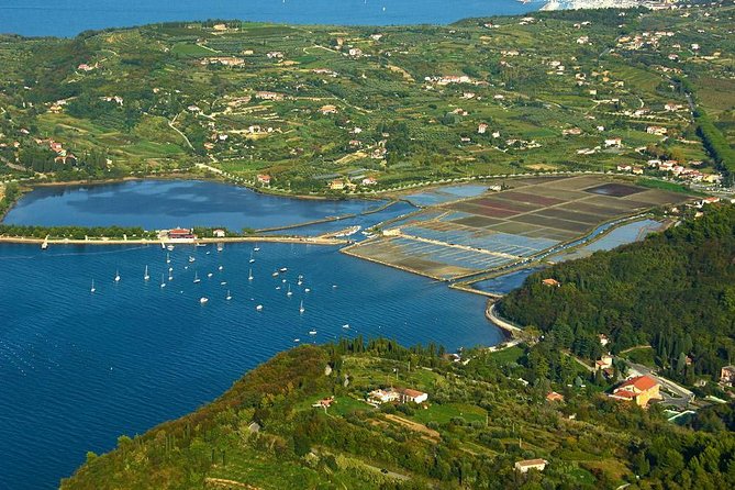Piran and Scenic Slovenian Coast-Private Experience from Koper - Is $705.61 good value for your group?