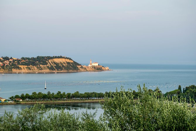 Piran Old Town Walking Tour - Saint Francis Monastery adds a quieter pause