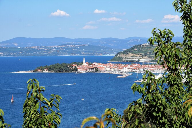 Piran & Panoramic Slovenian Coast - Small Group Tour from Koper - A local bite and Slovenian wine