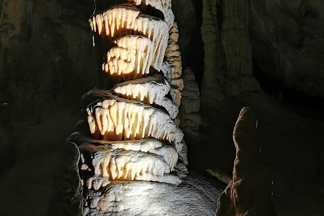 Postojna Cave and Predjama Castle Tour from Ljubljana - Postojna Cave and its underground oddities