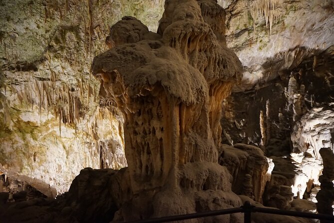 Postojna Cave and Predjama Castle Tour from Ljubljana - Practical details that matter