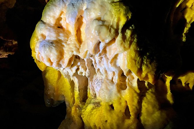 Postojna Cave Day Trip From Ljubljana - What this Ljubljana to Postojna trip really provides