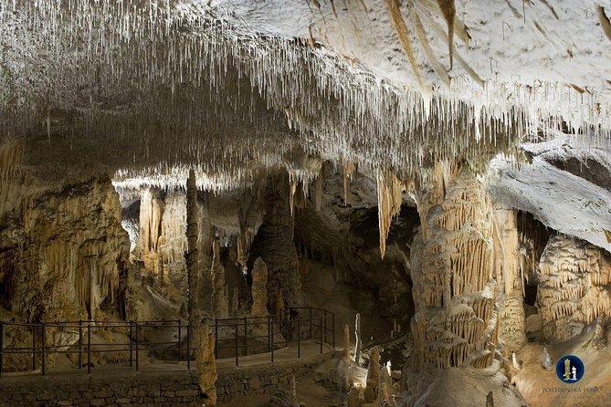 Postojna cave, Predjama castle and Piran tour from Ljubljana - What guides add to a busy day