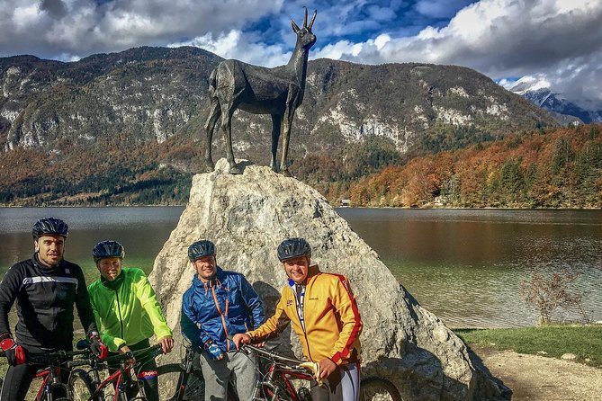 Private Biking Tour in Bohinj Valley - Who gets the best value from $420.08