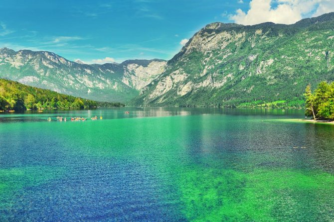 Private Bohinj & Vogel Tour from Bled - Who will enjoy this outing most?