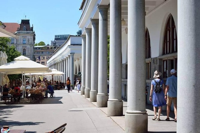 Private city tour of Ljubljana. 4 hours with a friendly and fun local guide. - Roman Emona, the National University Library, and Congress Square